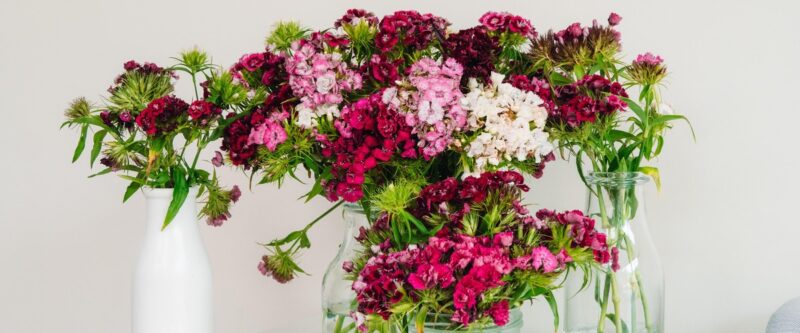 caring for your fresh flowers