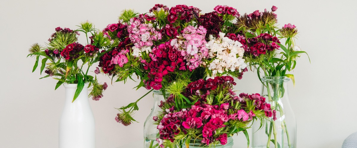 caring for your fresh flowers